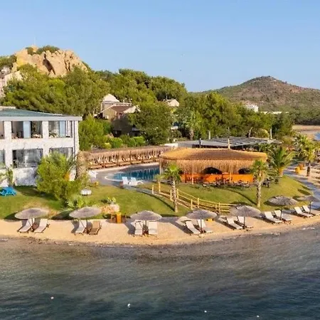 Ivy Sailing Hotel *