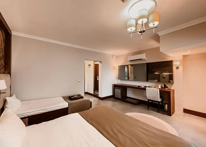 Hotel Ivy Sailing Ayvalı