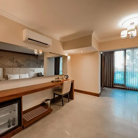 Ivy Sailing * Ayvalı